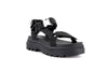 Pallacruise Strap