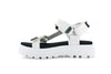 Pallacruise Strap