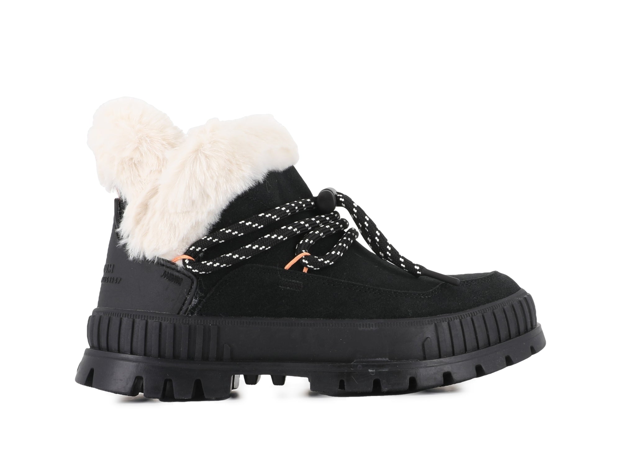 PALLASHOCK LO HIVER