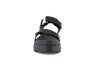 Pallacruise Strap